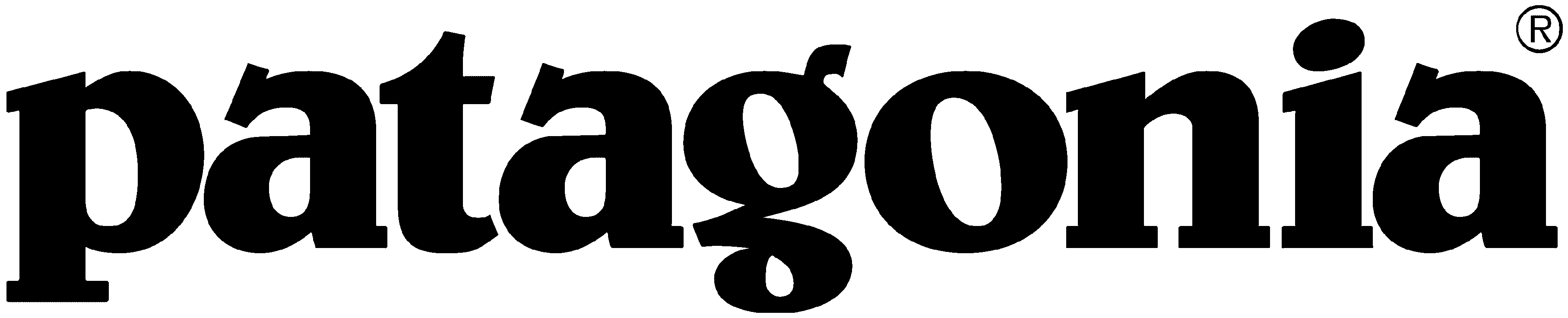 Patagonia Sponsor