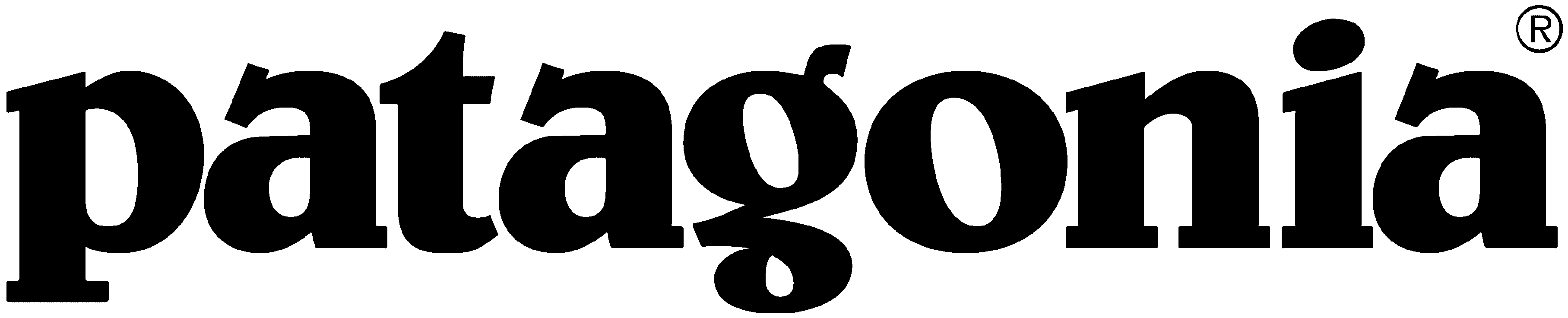 Patagonia Sponsor